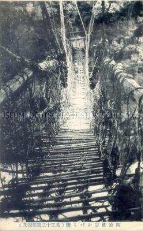 Ansicht einer Hängebrücke in Japan