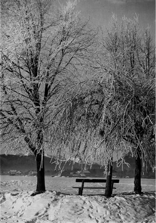 Winterlandschaft in Oberbayern bei Garmisch. Mit Raureif besetzte Bäume