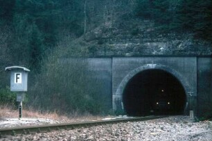 Hochdorfer Tunnel Nordportal Lok 215 055