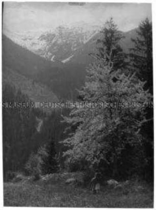Gebirgslandschaft