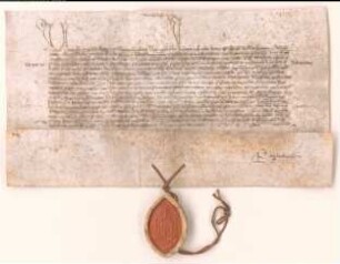 Bischof Jordanus von Albanien an den Bischof von Cambrai.