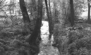 Nossen-Deutschenbora. Bach unterhalb der Klotzmühle