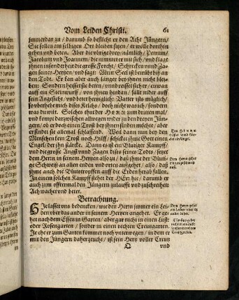61r-70r, Betrachtung