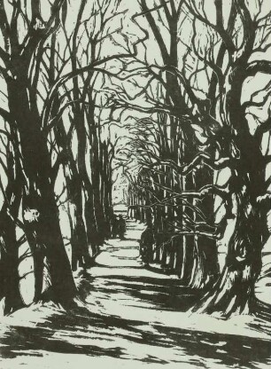 Allee im Winter