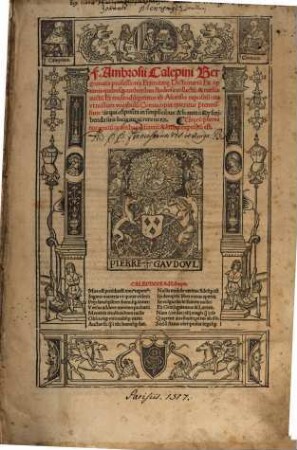Dictionarium copiosissimus