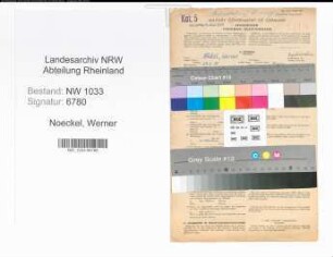 Entnazifizierung Werner Noeckel , geb. 29.03.1915 (Kaufm.Angest.)