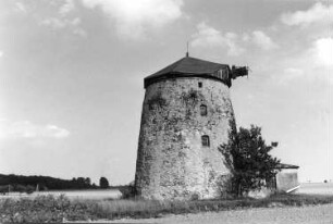 Dahlen-Börln. Turmholländer