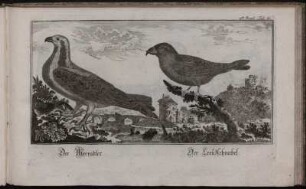 2ter Band Tab. IV.