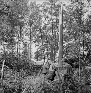 Sturmschäden: Poggensee: Begutachtung der Schäden: Förster Lichtenberg, Forstmitarbeiter und Arbeiter in Wald mit abgeknickten Bäumen