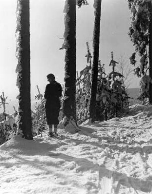 Winterwald. Ansicht mit Spaziergängerin