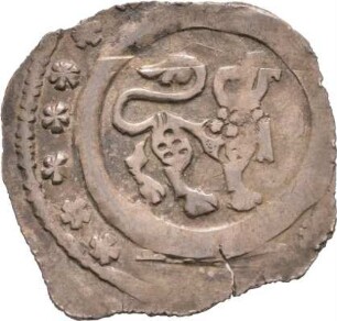 Münze, Schwaren, 1210 - 1220