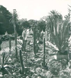 Botanischer Garten