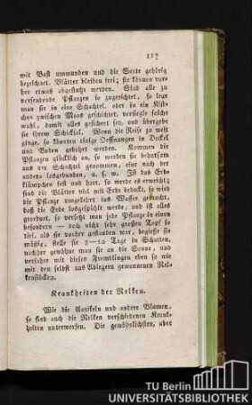 Krankheiten der Nelken.