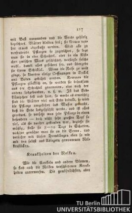 Krankheiten der Nelken.