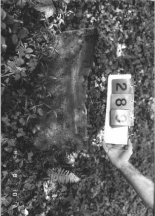 Grabstein 289 (Index: 99799847) Material: Sandstein Zustand: verwittert, Stele abgebrochen Maße HxBxT: 45x61x3 cm Beschreibung: Stelenrest, Stele abgebrochen: Grabstein 289