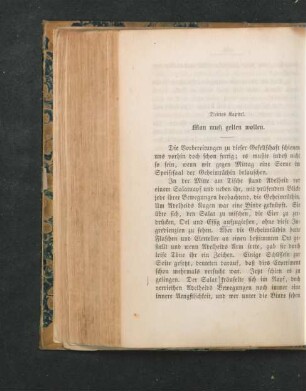 Drittes Kapitel. Man muss gelten wollen.