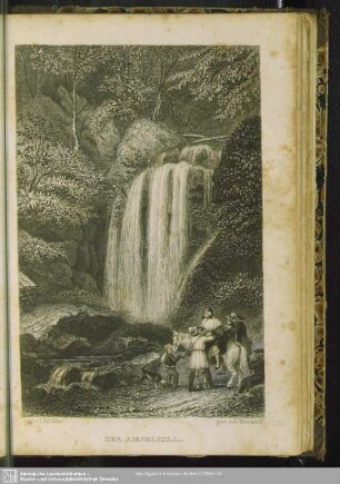 Der Amselfall