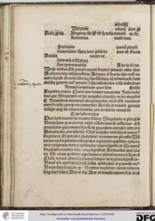 Expositio textus: quot sunt numeri nominum respondet duo qui singularis ut hic magister, pluralis ut hii magistri.