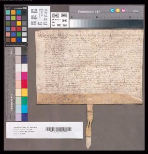 Belehnung von Johan und Philipp von Viermund zu Bladenhorst mit der Honnekenshove [in den Oberhof Suderwich eingehörig].