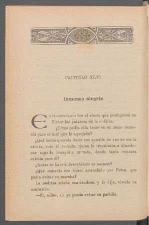Capítulo XLVI - Inmensa alegría