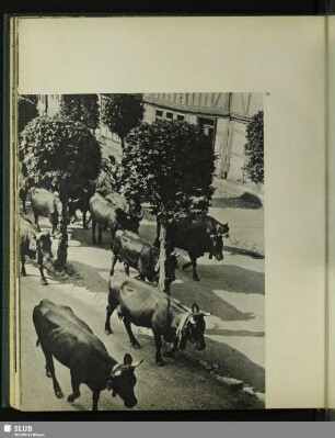 68 Auf der Rittergasse in Stolberg