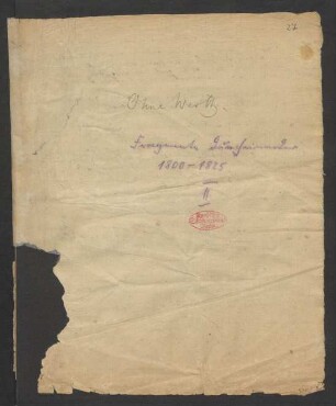 Fragmente Durcheinander. Vermischte Schriften