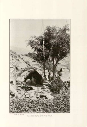 Plate XXXI. Fa-'wi of a'-to Si-Pa'at