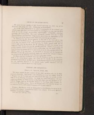 Fuegian and Patagonian. Plate. I., VI. Tables II., XVIII., XIX.