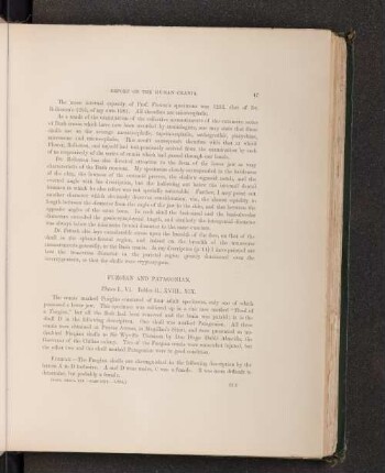 Fuegian and Patagonian. Plate. I., VI. Tables II., XVIII., XIX.