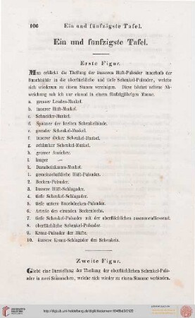 Ein und fünfzigste Tafel / Tabula Quinquagesima Prima