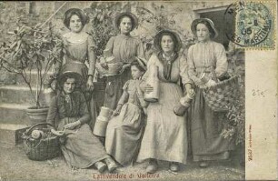 Lattivendole di Volterra