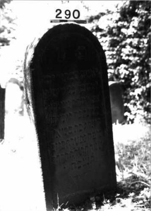 Grabstein 290 (Index: 100085085) Maße HxBxT: 124x56x12 cm Beschreibung: Stele, Rundbogenabschl. , Schriftfeld eingetieft: Grabstein 290