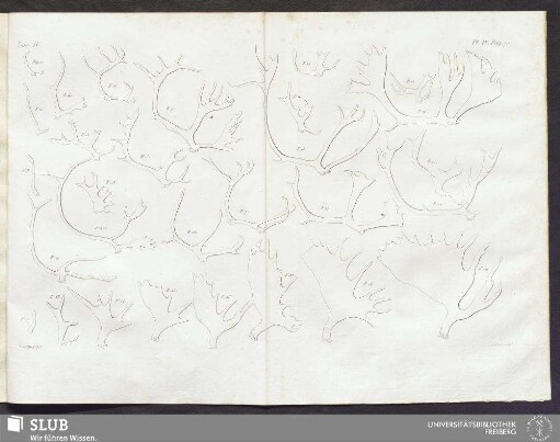Pl. IV. pag. 70