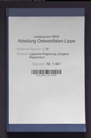 Gewerbliche Abgaben im Amt Detmold, Band 2