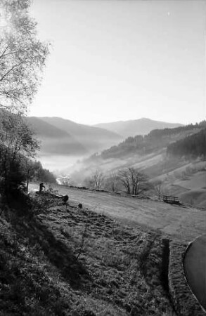 Blick von Aftersteg auf Todtnau im Dunst