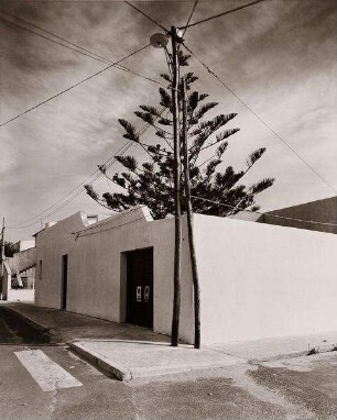 Electrified Tree, Sardinien 1978