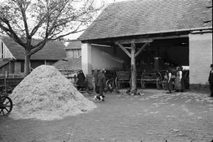 Franzenstal: deutscher Gutshof