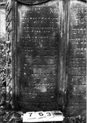 Grabstein 753 (Index: 99751602) Material: Sandstein Zustand: leicht verwittert Maße HxBxT: 164x105x15 cm Beschreibung: Doppelstele, zwei Schriftfelder eingetieft Symbolik: Pinienzapfen, Wappenschilde, Ranken, Muscheln, Schriftband, geometrisches Fries: Grabstein 753C