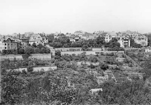 Dresden-Loschwitz. Stadtteilansicht mit Ferdinands Höhe