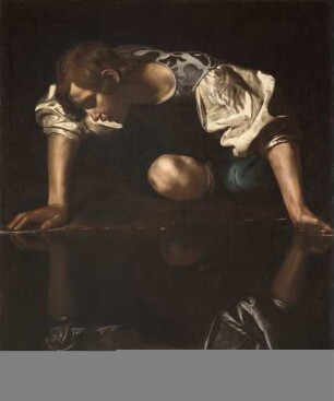 Narcissus