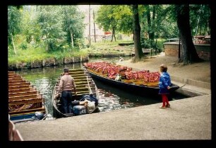Spreewald 26.7.84.