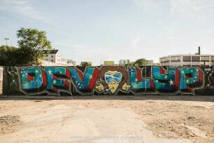 DFV LYP