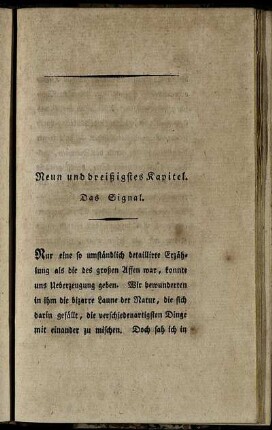 Neun und dreißigstes Kapitel. Das Signal.