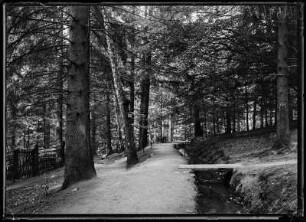 Bad Harzburg, Philosophenweg