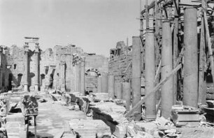 Ruinen von Leptis Magna : Blick über Säulen und Ruinen