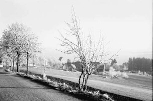Saig: Weg oberhalb Saig; mit Blick auf Ort