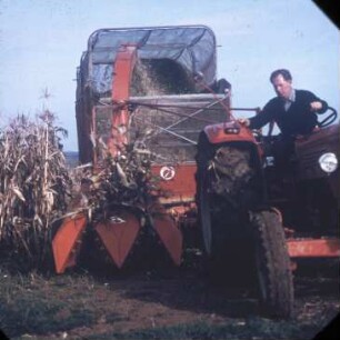 Fotografie: Futtererntetechnik, Feldhäcksler gezogen, Maissilage, Maisgebiss
