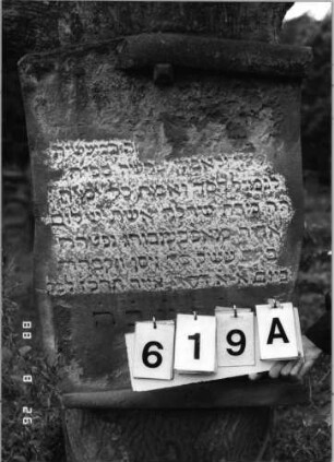 Grabstein 619 (Index: 100099808) Maße HxBxT: 170x57x57 cm Symbolik: Baumstamm: Grabstein 619A
