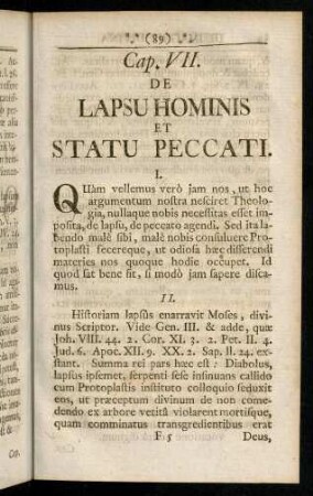 89-97, Cap. VII.