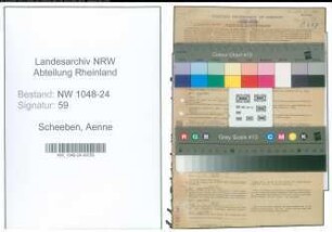 Entnazifizierung Aenne Scheeben , geb. 01.01.1899 (Verwaltungsbeamtin)
